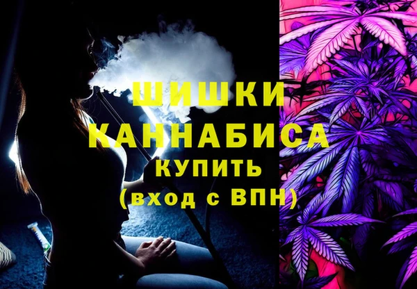 шишки Богданович