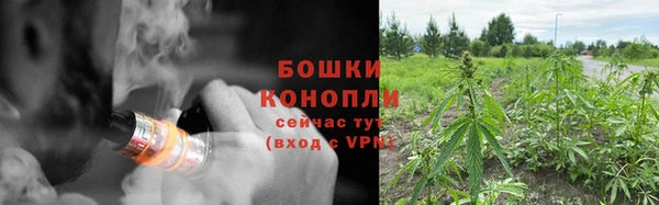 прущие крисы Беломорск