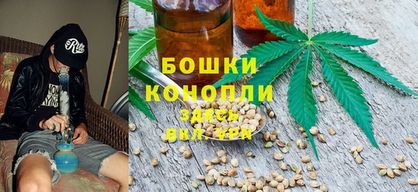 шишки Богданович
